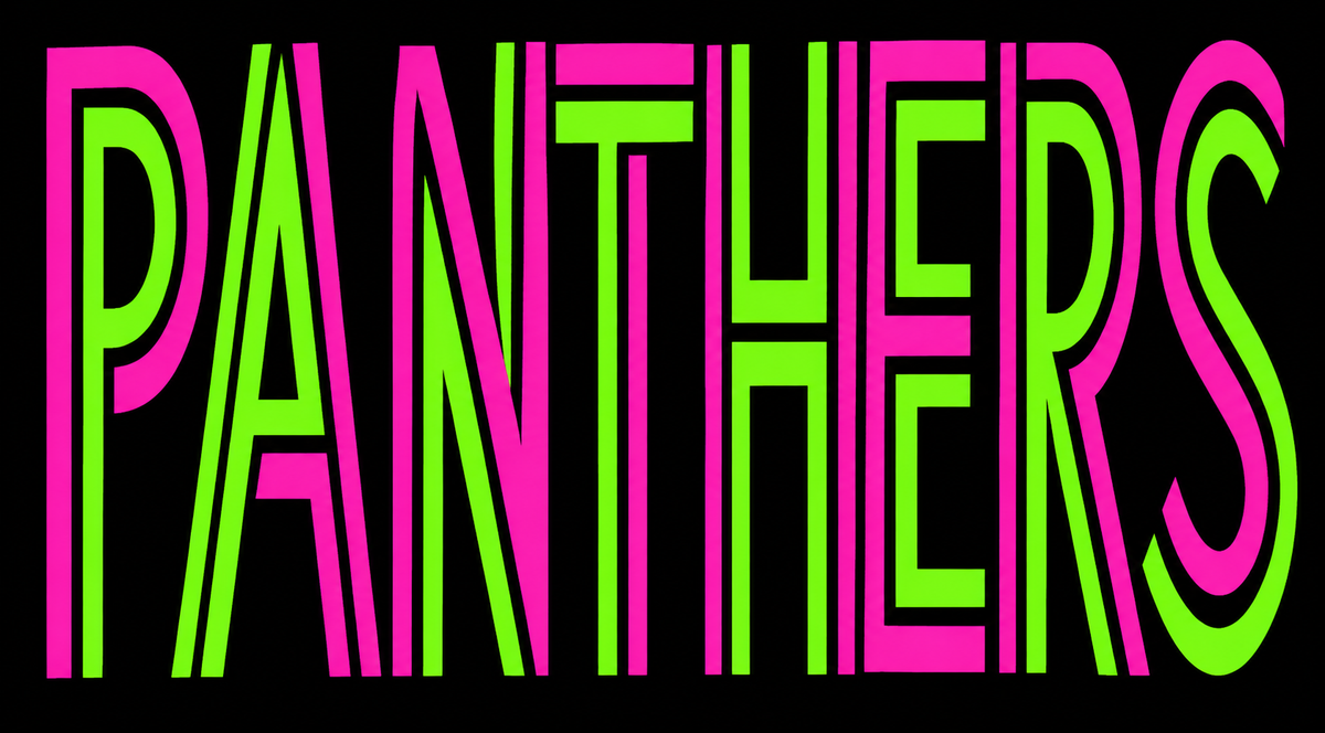 Panthers neon