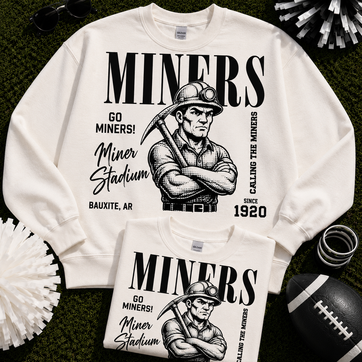 miner stadium