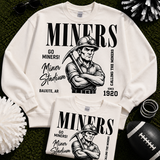 miner stadium